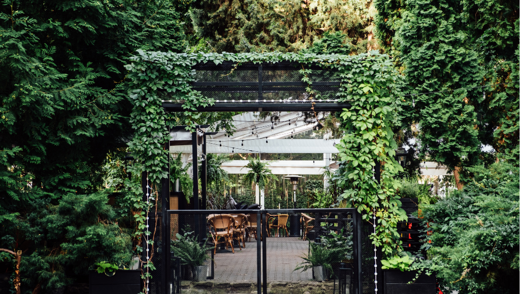 Lichene Stabilizzato: La Scelta Naturale ed Etica per Arredi Green