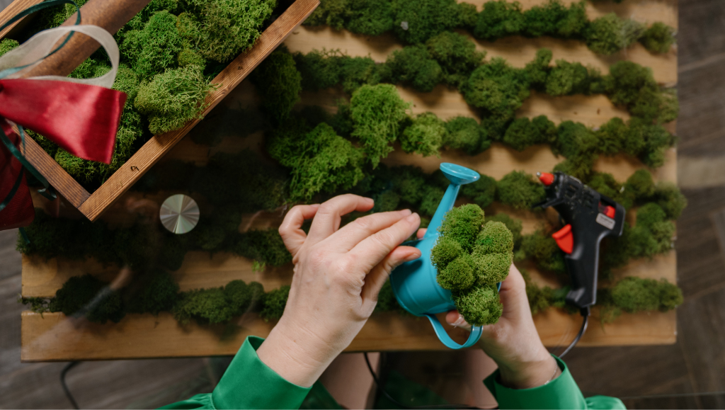 Lichene e muschio stabilizzato: durata, cura e manutenzione essenziale