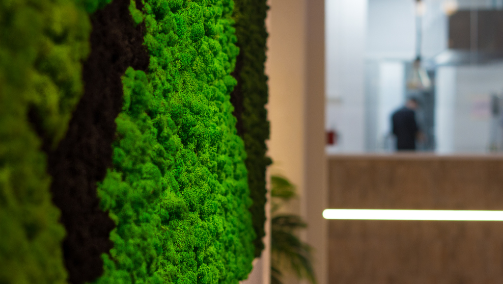 Meno rumore, più benessere: il potere fonoassorbente del muschio stabilizzato negli spazi quotidiani