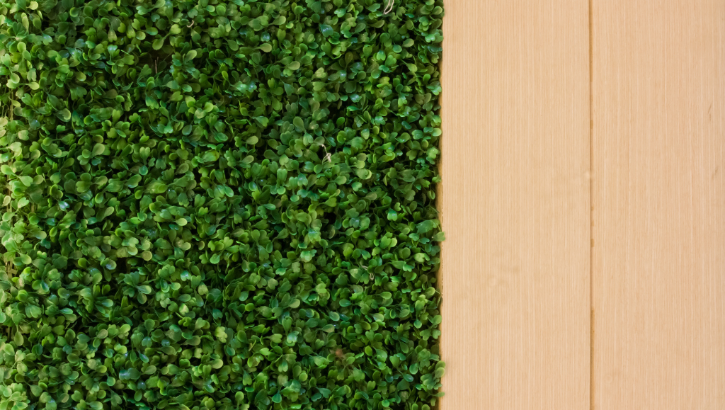 Ufficio Verde: Benefici, Idee e Piante per Migliorare il Benessere al Lavoro