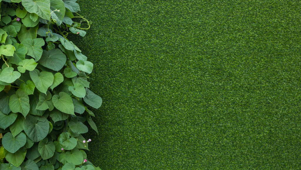 Verde nei Ristoranti e Locali: Come le Piante Migliorano l’Esperienza dei Clienti