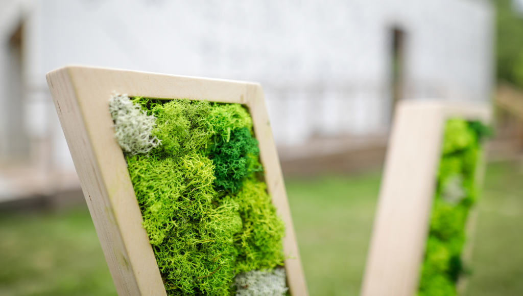 Verde stabilizzato o piante naturali? La guida definitiva per arredare i tuoi spazi