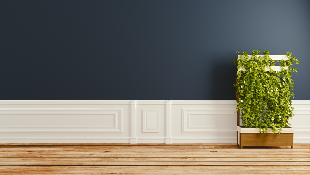 Lichene stabilizzato nei negozi: come creare un’esperienza d’acquisto immersiva