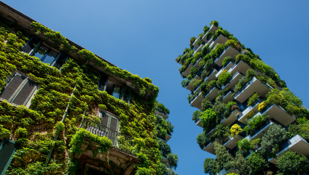 Dal muschio stabilizzato ai grattacieli verdi: come il design biofilico sta cambiando case e città