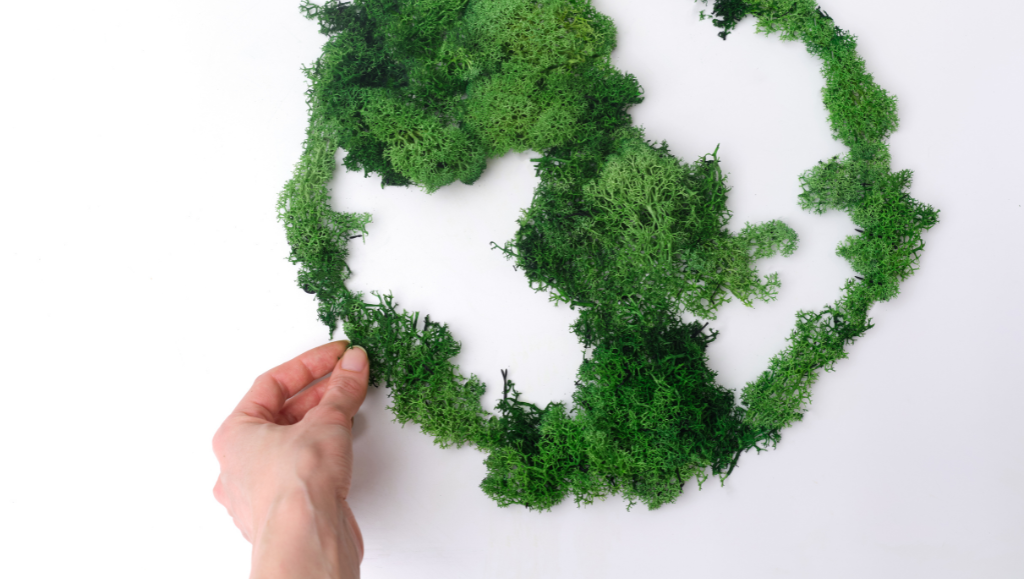 Il suono del muschio stabilizzato: come migliora l’acustica e il benessere negli ambienti