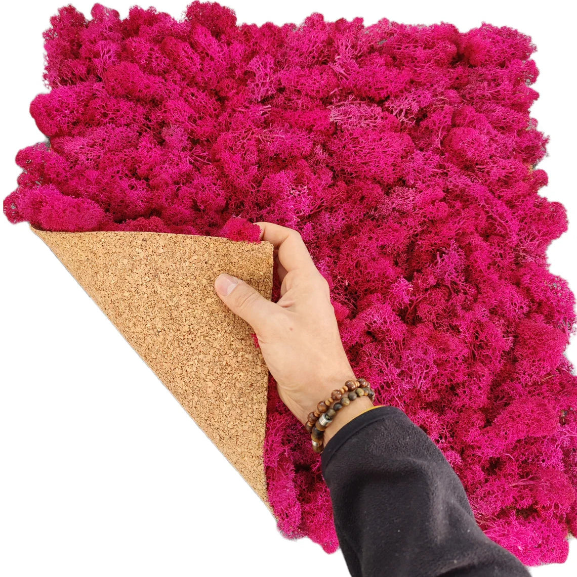 lichene-stabilizzato-50-fucsia