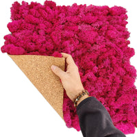 lichene-stabilizzato-50-fucsia