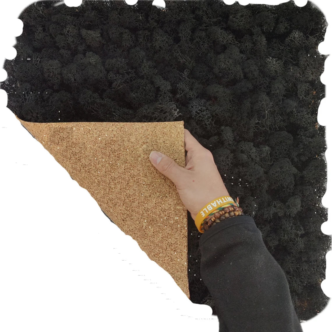 lichene-stabilizzato-50-nero