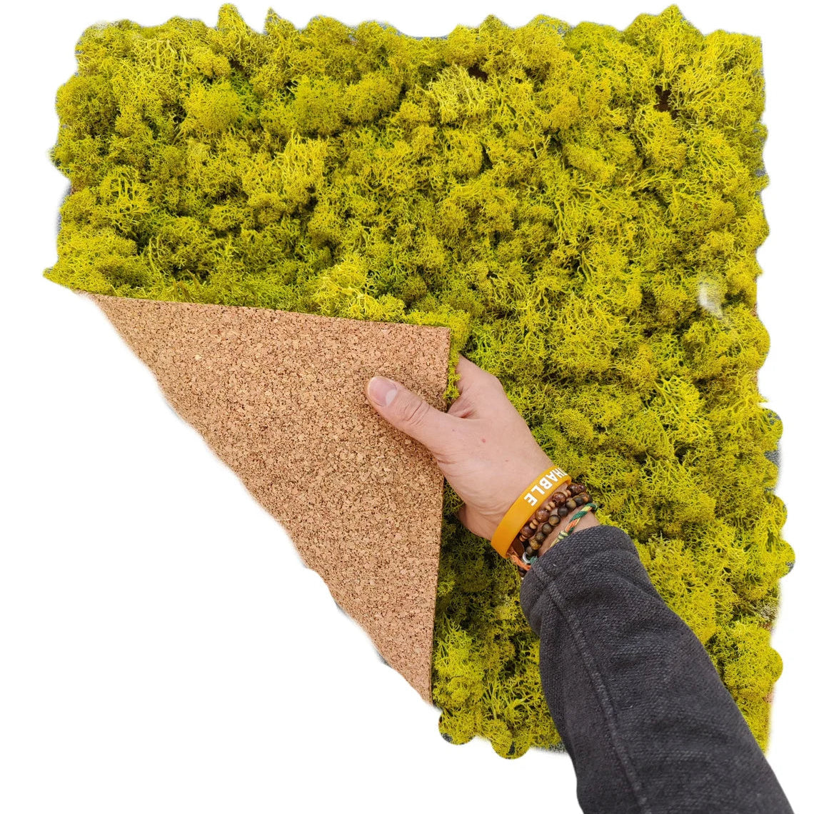 lichene-stabilizzato-50-verde-lime