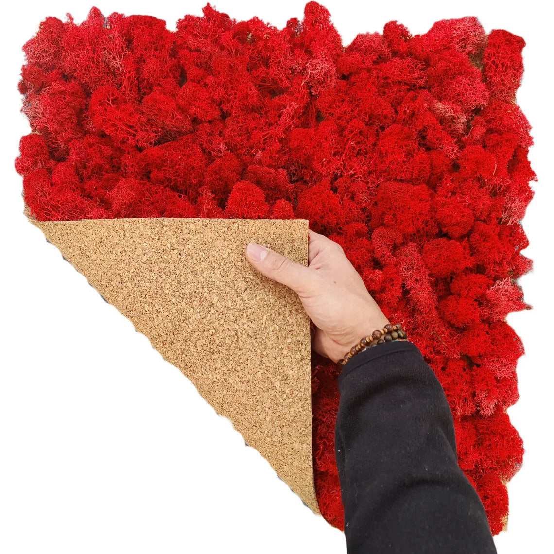 lichene-stabilizzato-50-rosso