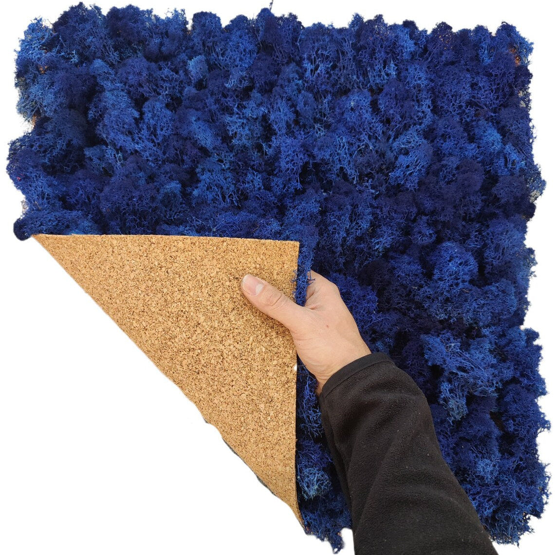 lichene-stabilizzato-50-blu